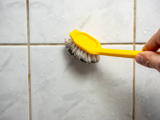 Best Localized Mold Remediation (e.g., coastal areas, humid climates) in Vallejo, CA